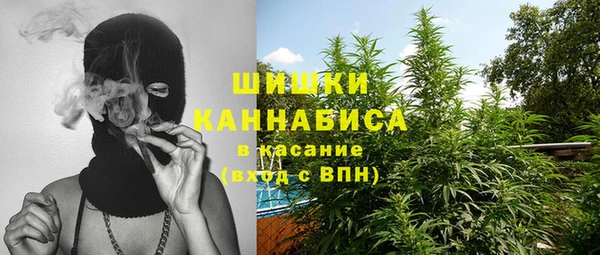 скорость Каменногорск