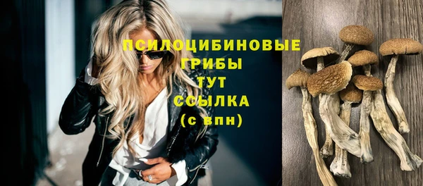 трава Каменка