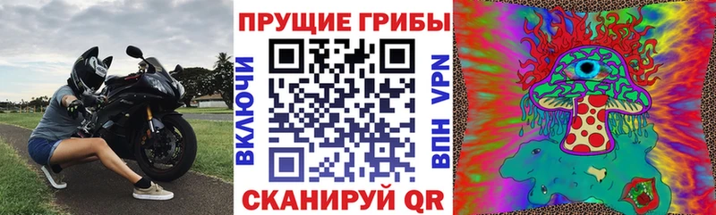 Галлюциногенные грибы Cubensis  Купить где  Зерноград 